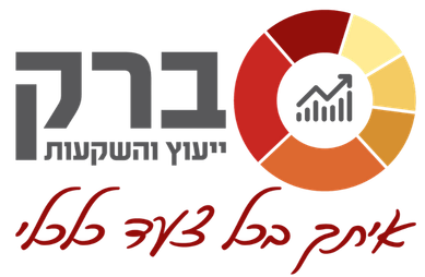 ברק ייעוץ והשקעות
